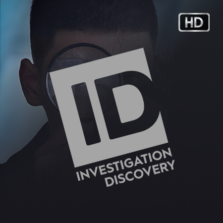INVESTIGATION DISCOVERY