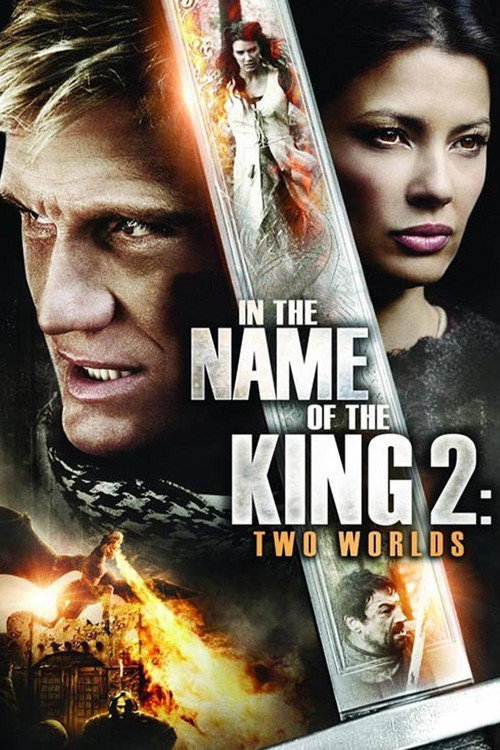 Poster film În numele regelui 2