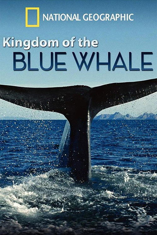 Poster film Im Reich des Blauwals