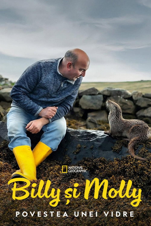 Poster film Billy & Molly: Eine Liebe zwischen Mensch und Otter