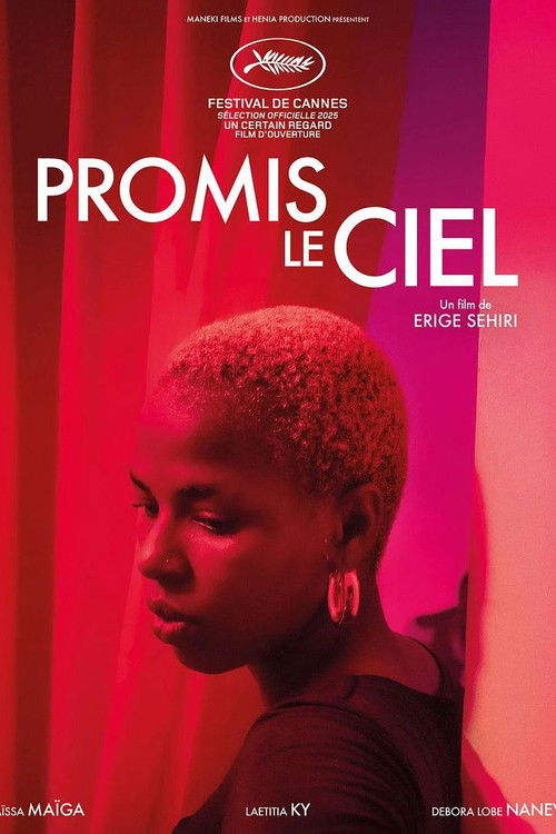 Poster film Promised Sky