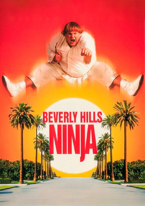 Poster film Ninja din Beverly Hills