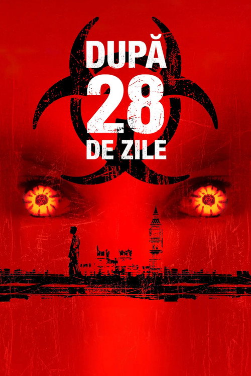 Poster film După 28 de zile
