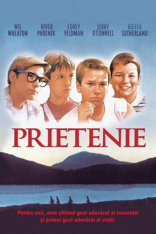 Poster film Prietenie