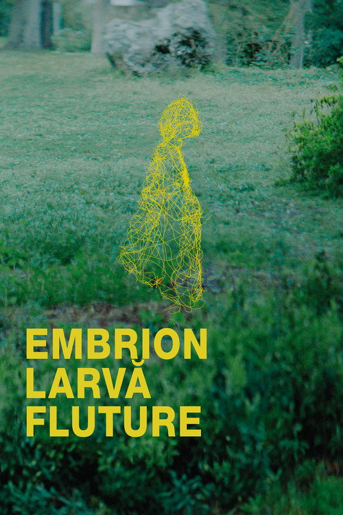 Poster film Embryo Larva Butterfly