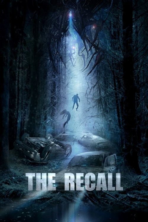 Poster film Rechemarea