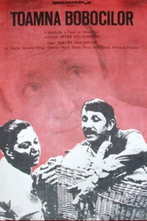 Poster film Toamna bobocilor