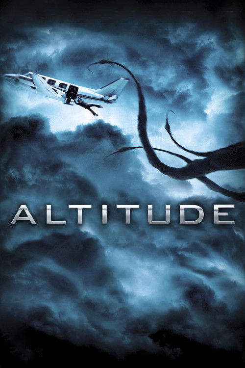 Poster film Altitudine