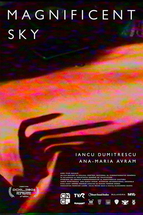Poster film Magnificent Sky