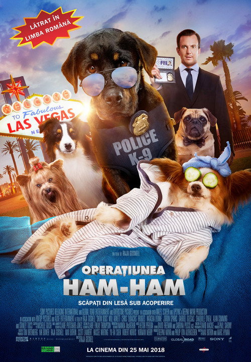 Poster film Operaţiunea Ham-Ham