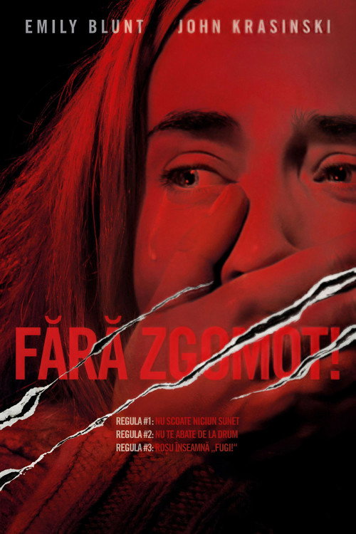 Poster film Zgomot