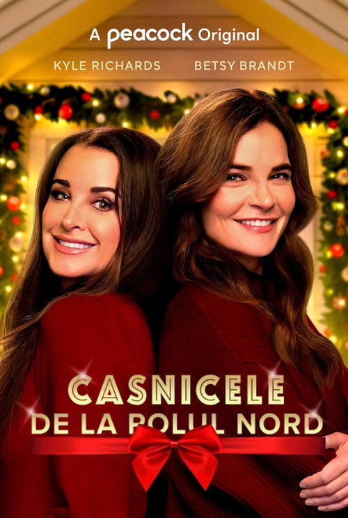 Poster film Casnicele de la Polul Nord