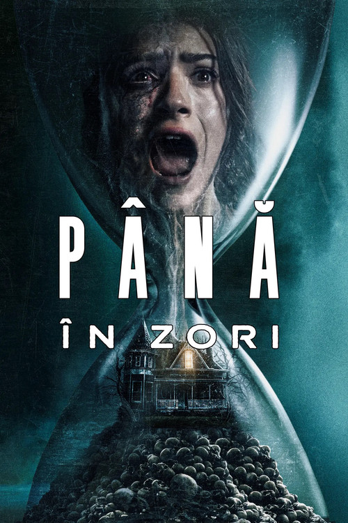 Poster film Până în zori