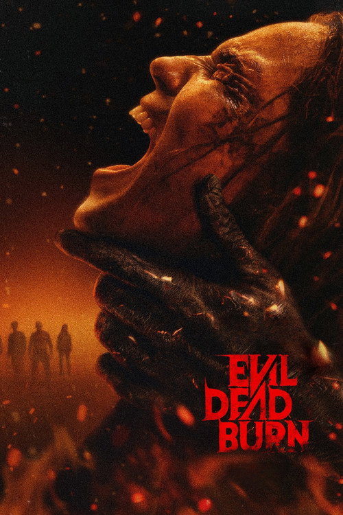 Poster film Focurile