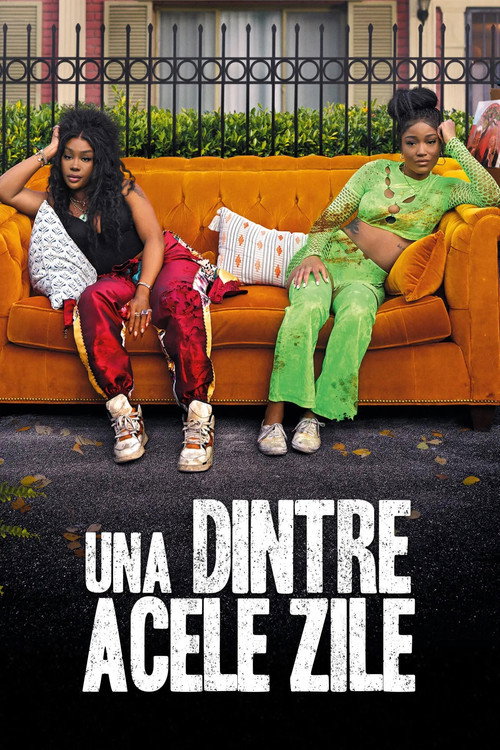 Poster film Una dintre acele zile