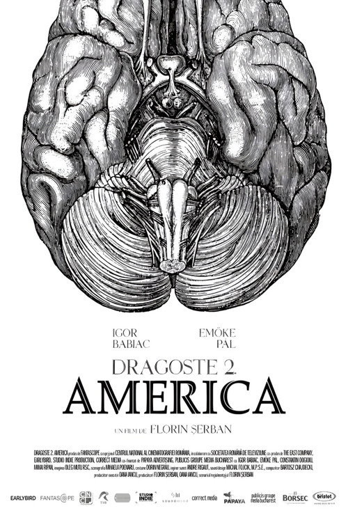 Poster film Dragoste 2. America