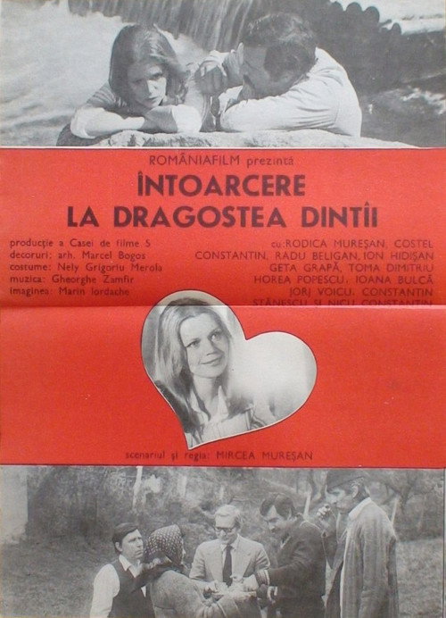 Poster film Întoarcere la dragostea dintâi