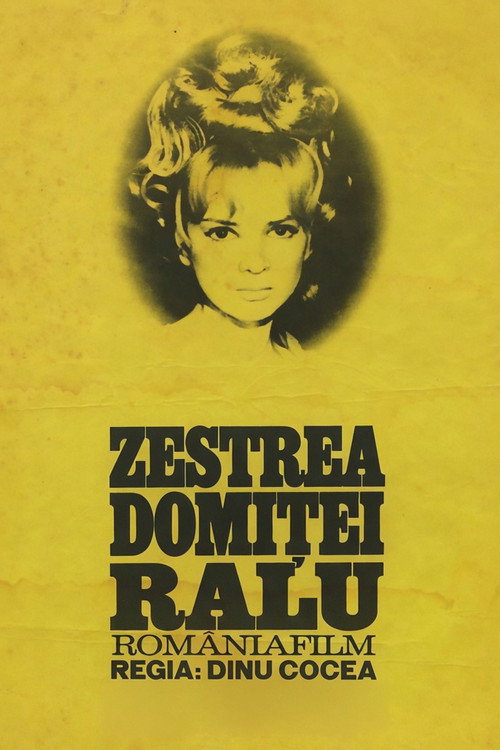 Poster film Zestrea domniței Ralu