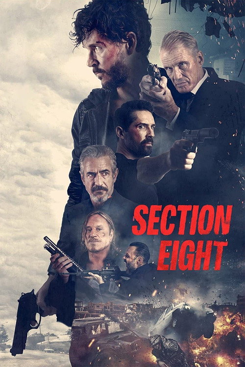 Poster film Section 8