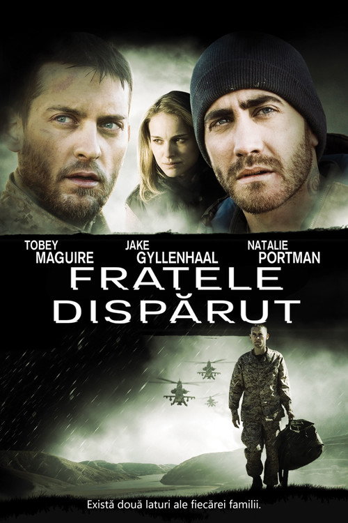 Poster film Fratele dispărut