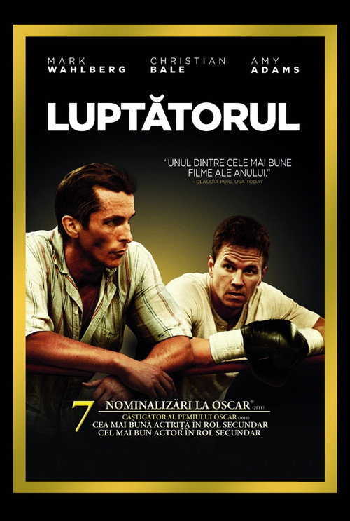 Poster film Luptătorul
