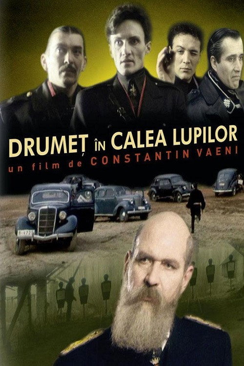 Poster film Drumeț în calea lupilor