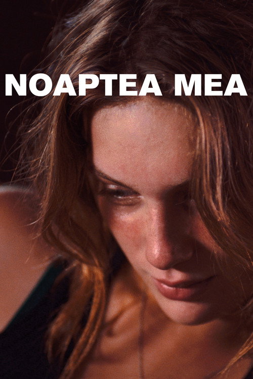 Poster film Ma nuit