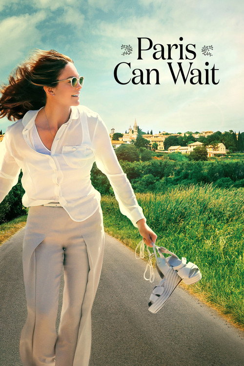 Poster film Parisul poate aştepta