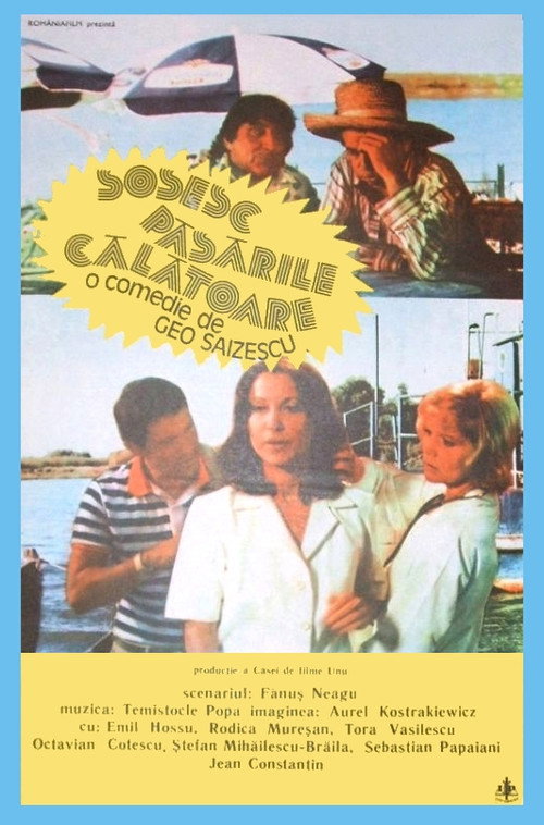 Poster film Sosesc păsările călătoare