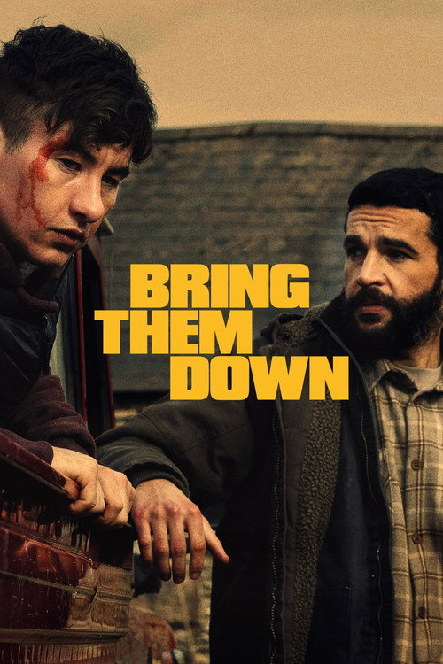 Poster film Bring Them Down