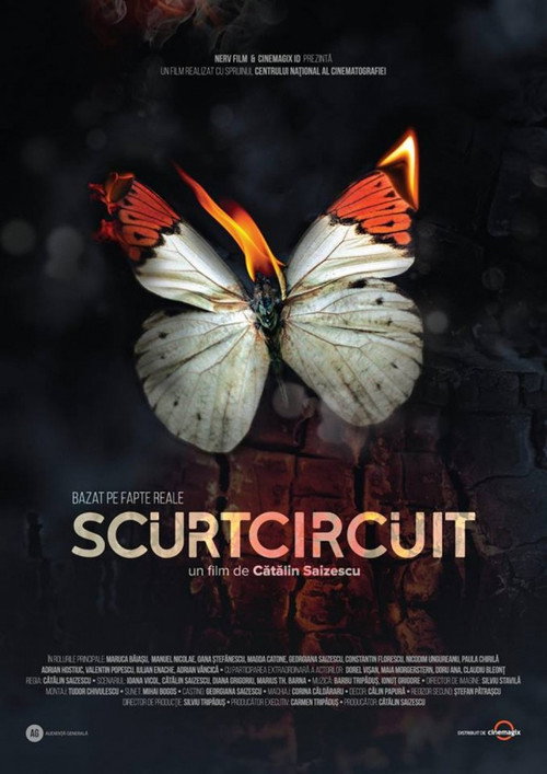 Poster film Scurtcircuit