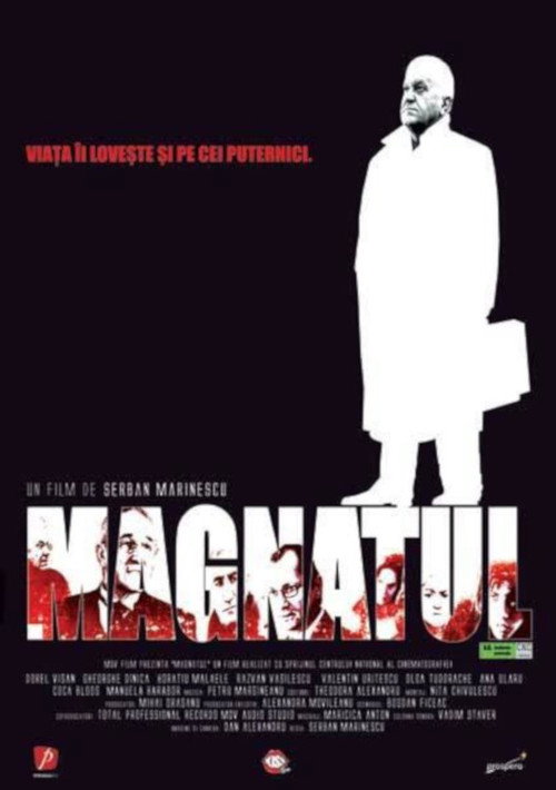 Poster film Magnatul