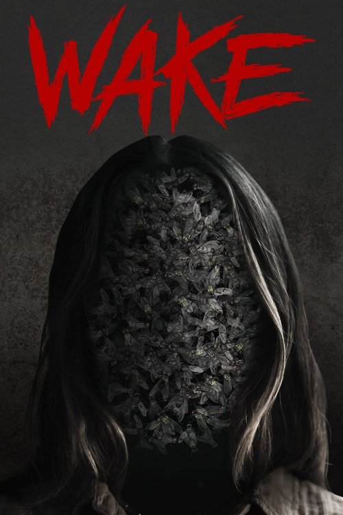 Poster film Wake