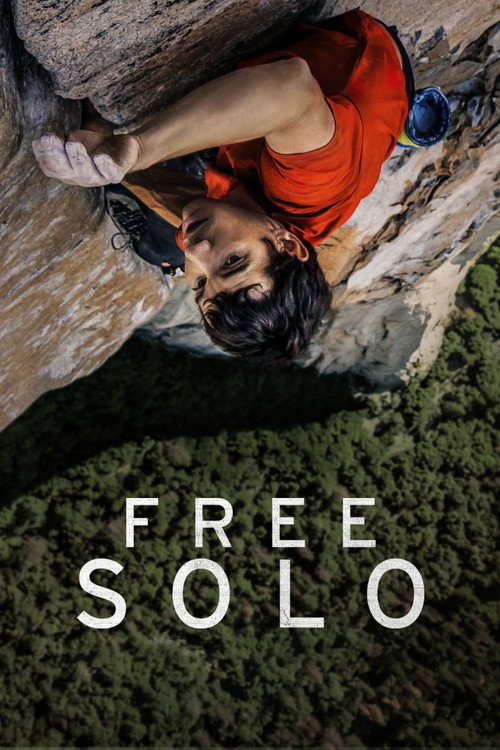 Poster film Free Solo