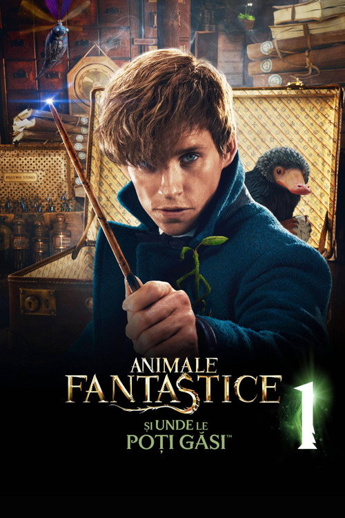 Poster film Animale fantastice și unde le poți găsi