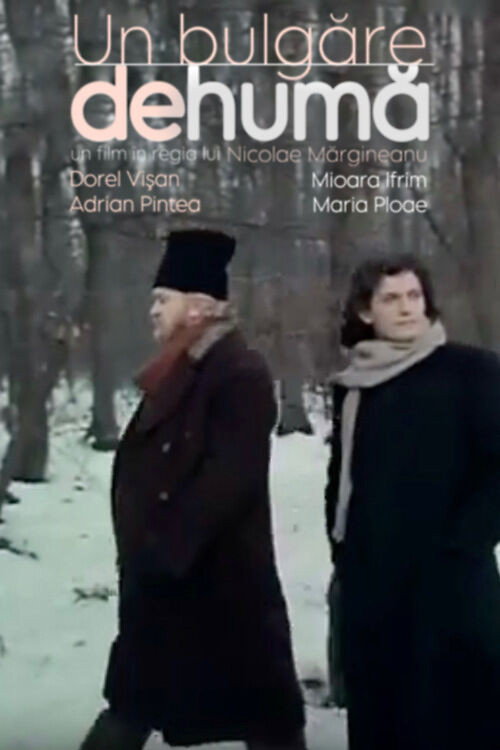 Poster film Un bulgăre de humă