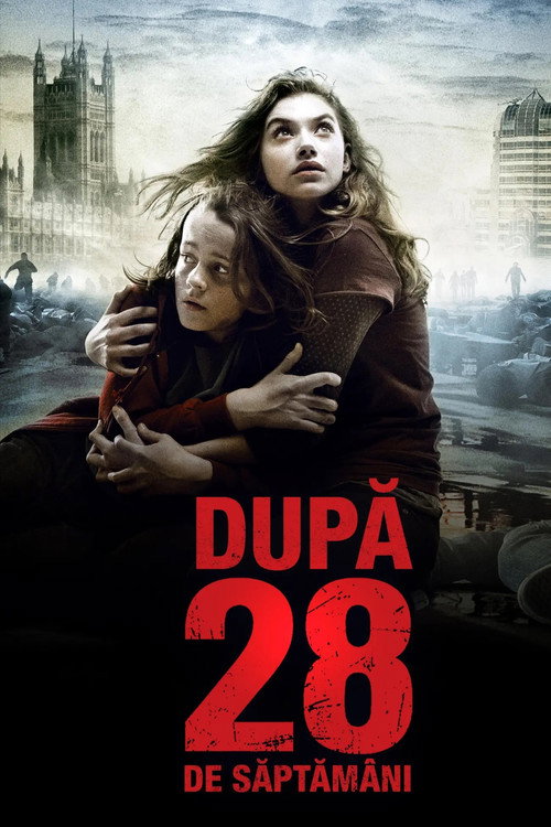 Poster film După 28 de săptămâni