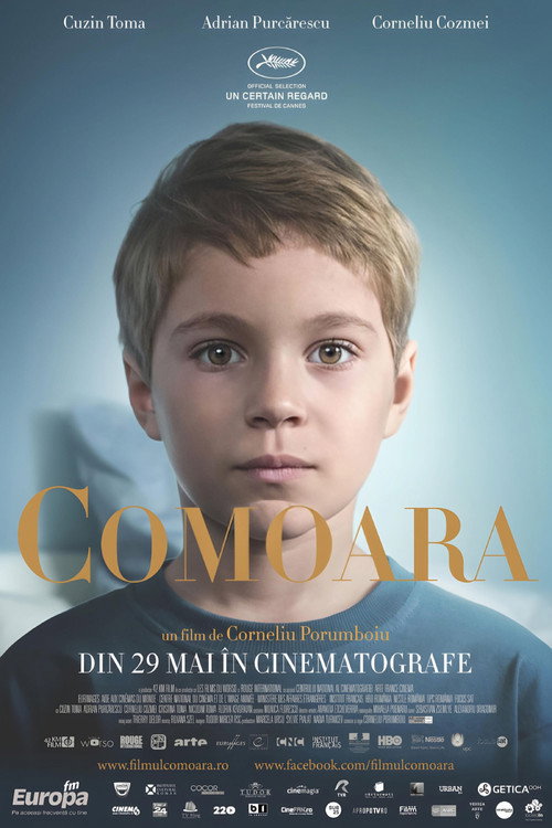 Poster film Comoara