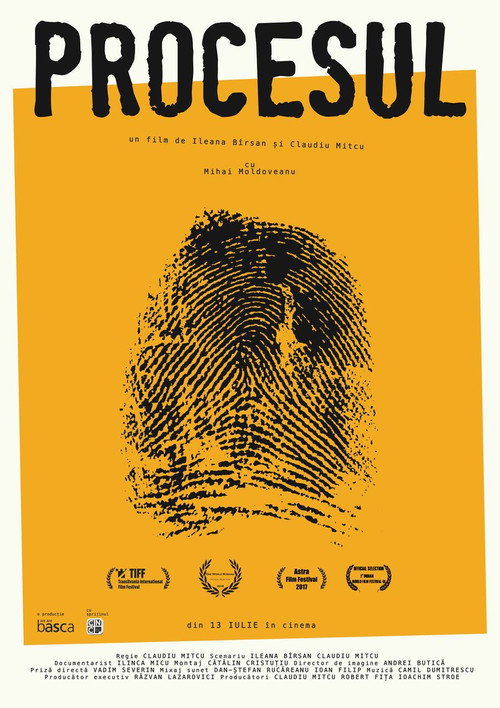 Poster film Procesul