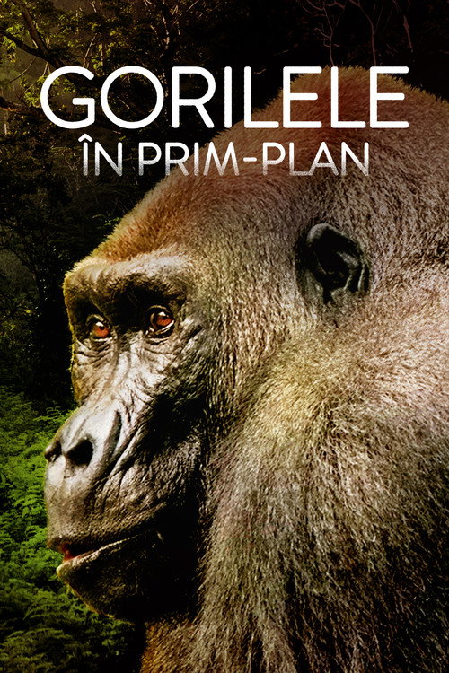 Poster film Prim plan