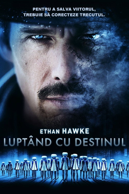 Poster film Destinul