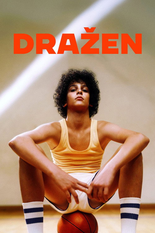 Poster film Drazen