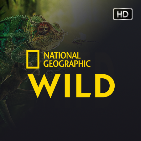 NATIONAL GEOGRAPHIC WILD