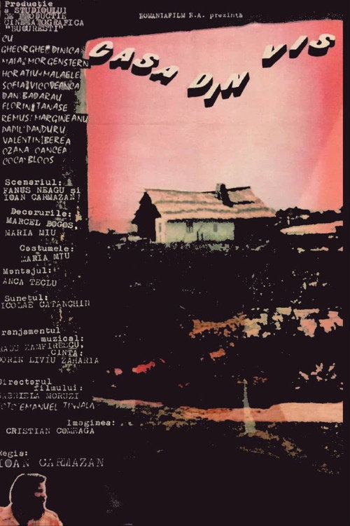 Poster film Casa din vis