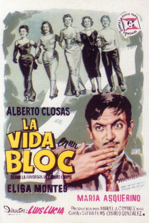 Poster film La bloc