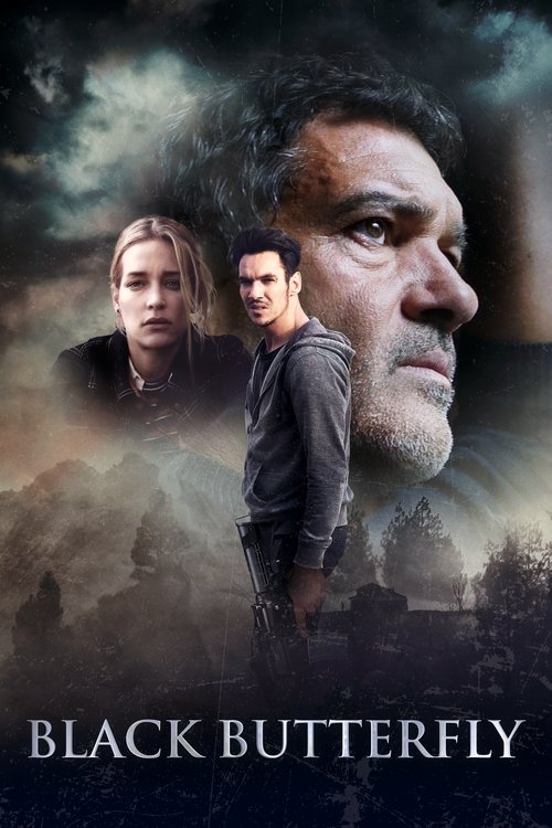 Poster film Fluturele negru