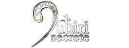 Poster film Iubiri secrete