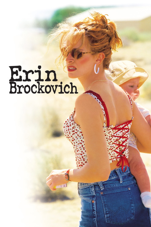Poster film Erin Brockovich