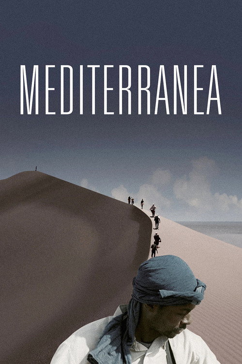 Poster film Călătorie periculoasă
