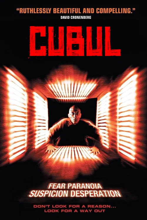 Poster film Cubul